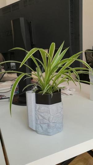 Self Watering Planter - 