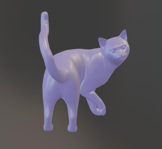 Cat Turning (sliced)