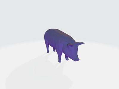 Pig