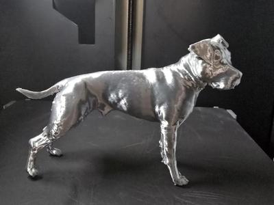 Pitbull dog model