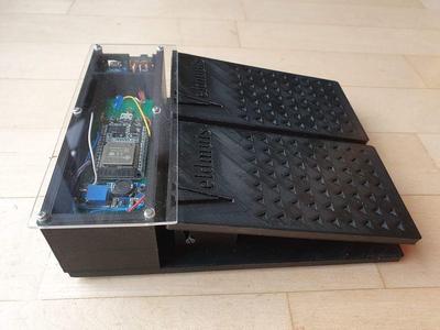 Foot Pedal - double