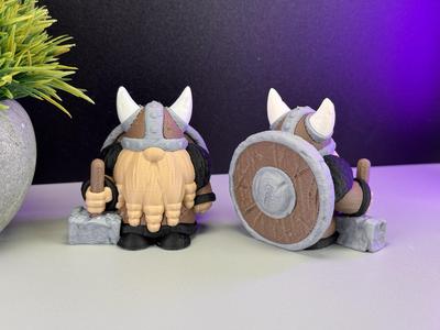 Little Viking
