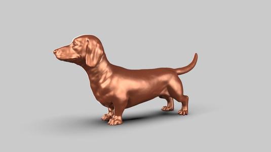Dachshund Pose 01