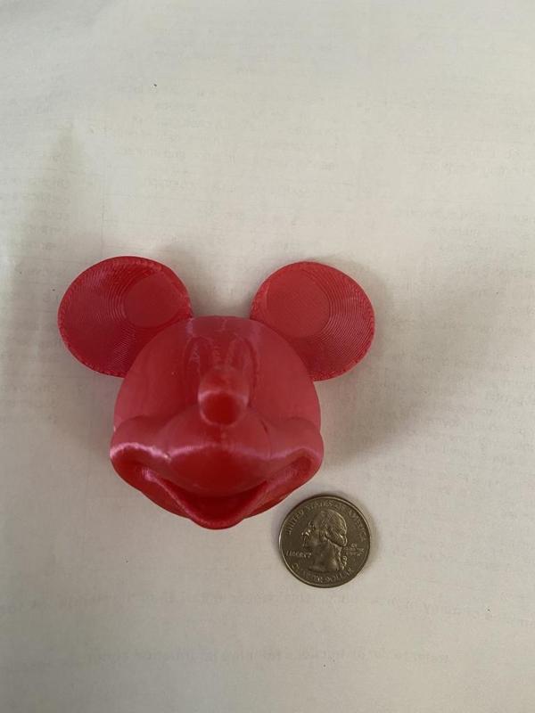 Mickey Head