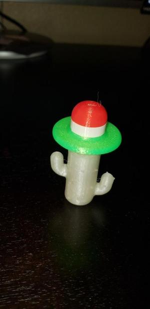 Cactus thumbdrive case