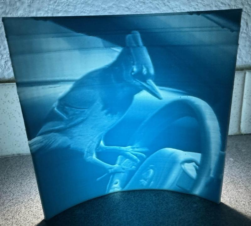 Lithophane of a Steller's Jay Motorist