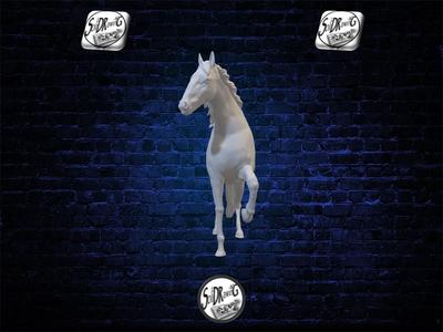 Horse L28