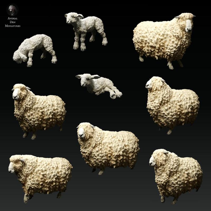 Devon and Cornwall Longwool Sheeps and Rams Bundle Set