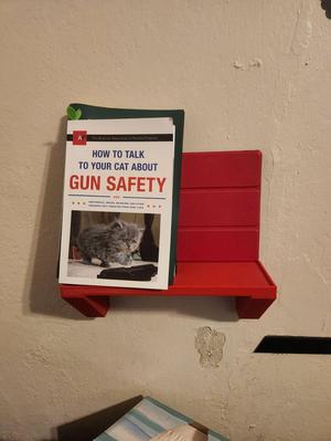 Shelf with slot to hold larger tablet and other thing