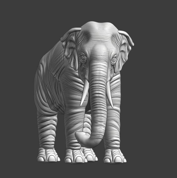 Elephant - Printable 3D model