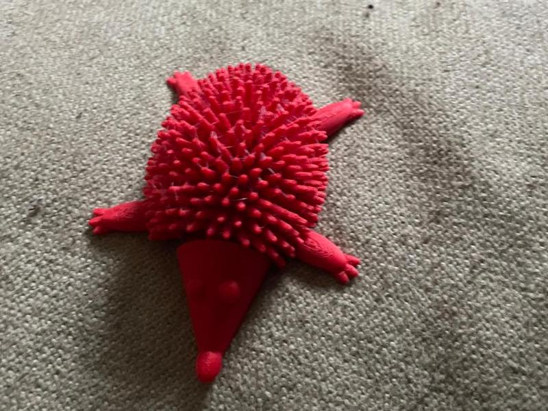 Hedgehog