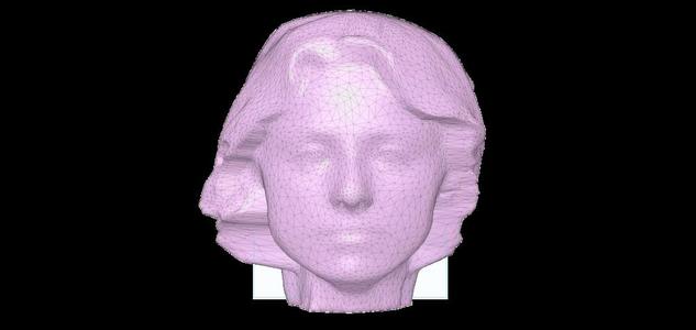 Scan of head