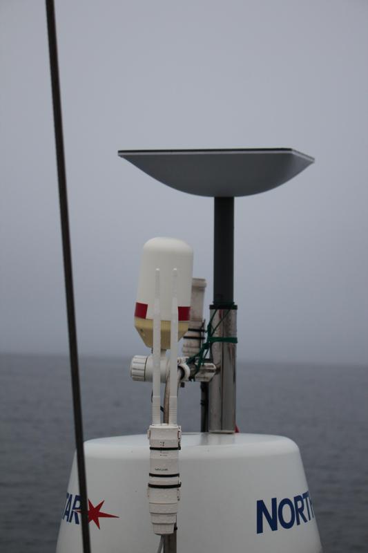 Starlink at sea while cruising