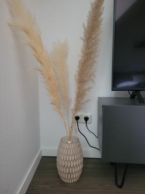 Pampa Gras Holder