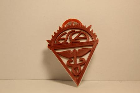 IPN ESCA Shield