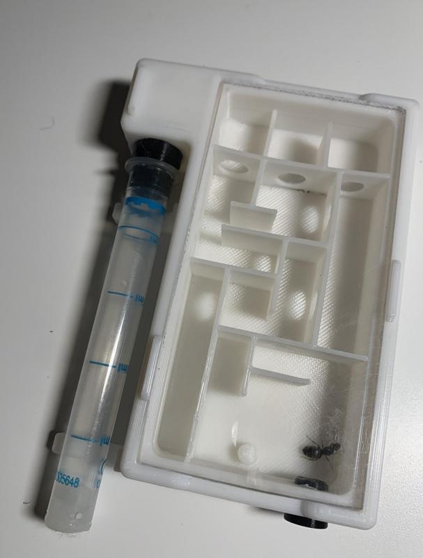 Formicarium Maze
