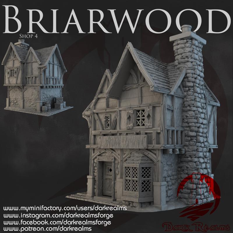 Dark Realms - Briarwood - Shop 4