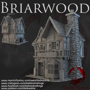 Dark Realms - Briarwood - Shop 4