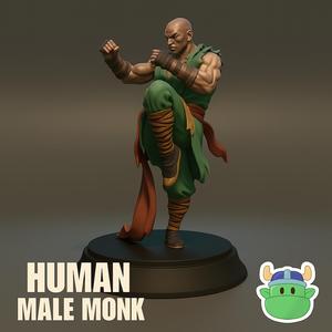 Human Male Monk