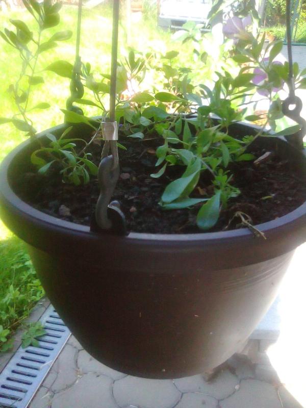 Flower pot holder and hook / Očko a háček pro zavěšení květináče
