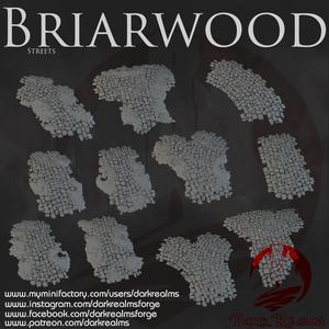 Dark Realms - Briarwood - Streets & Street Props