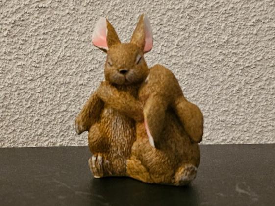 Embracing Bunny Couple