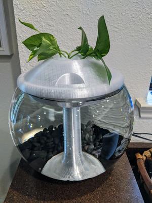 Aquaponic Fish Bowl