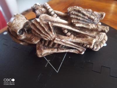 skeleton