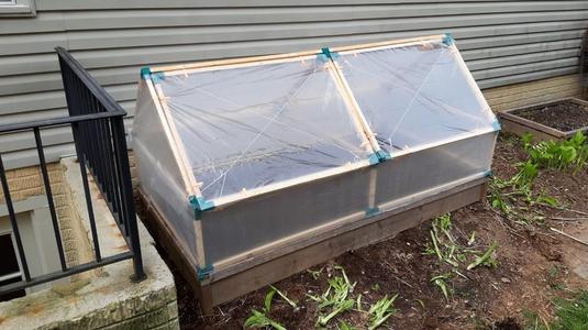 Coldframe