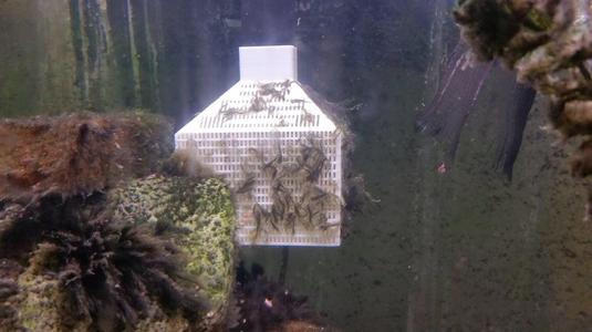 Fish tank filter upgrade