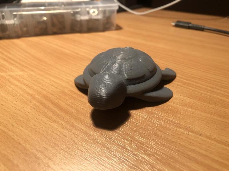 Simple Turtle