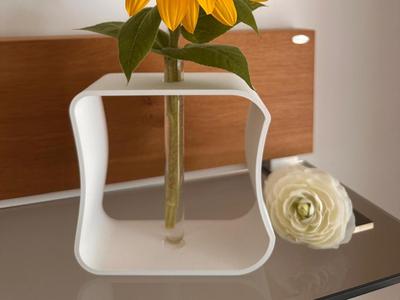 Test Tube Vase