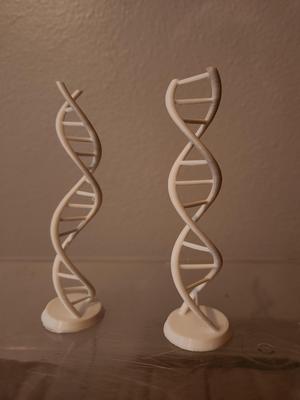 DNA models- Desktop Sized