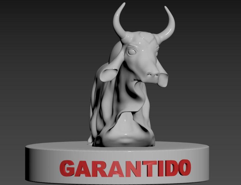 Boi Garantido / COW