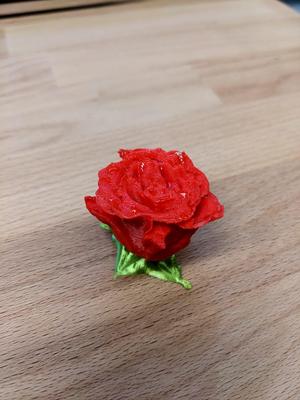 Rose 3D-Scan