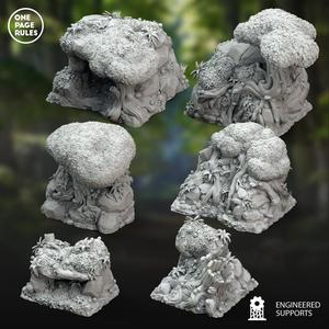 Forest Large Terrain