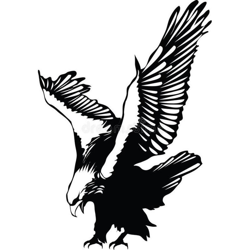 Eagle diving on its prey