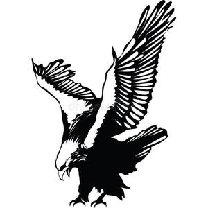 Eagle diving on its prey