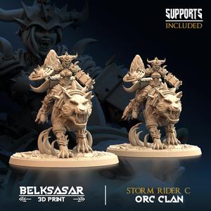 Orc and Wolf - Storm Rider C All Variants