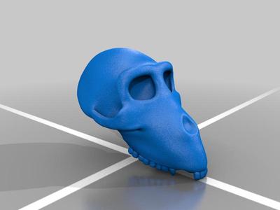 Crânio do gênero Dryopithecus