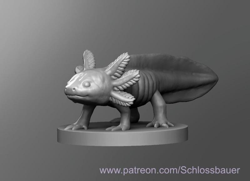 Axolotl