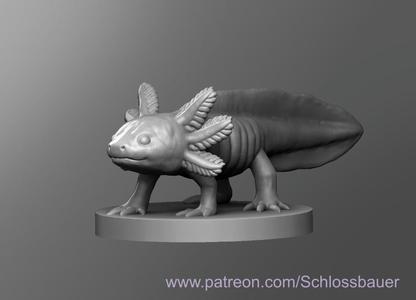 Axolotl