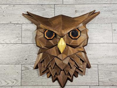Midnight Hunter Owl Wall Art