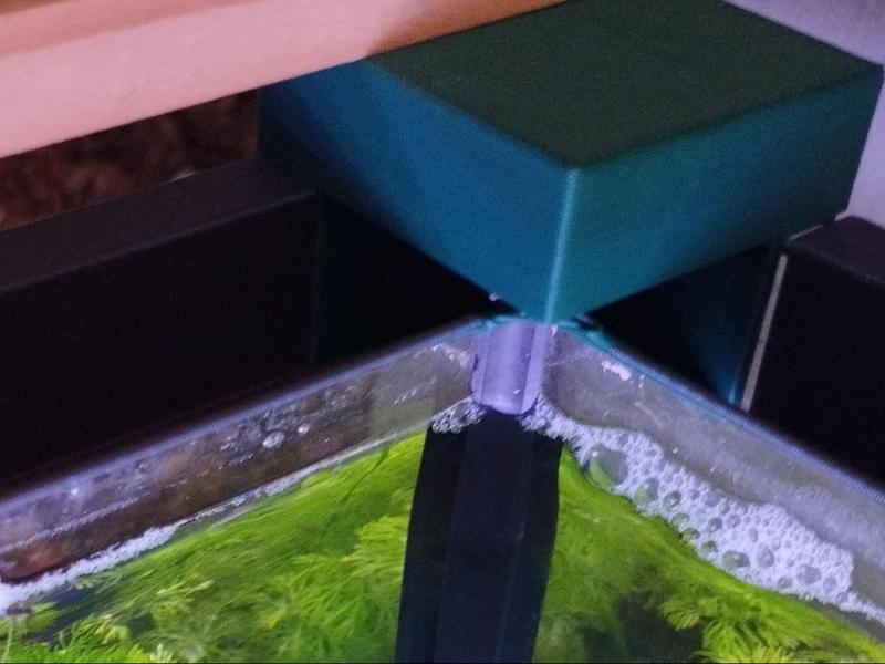 aqua (fishtank) jump guard