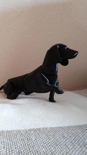 Dachshund BJD