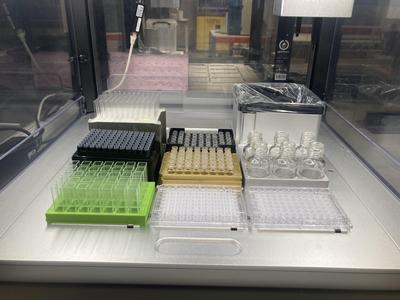 Microplate - 35 well - cuvettes