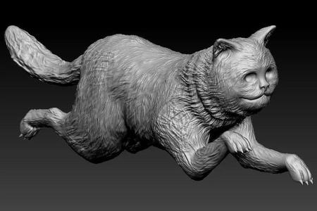 Cat 002 Exotic Short 3D Printable Model