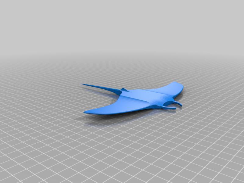 Mini Manta Ray