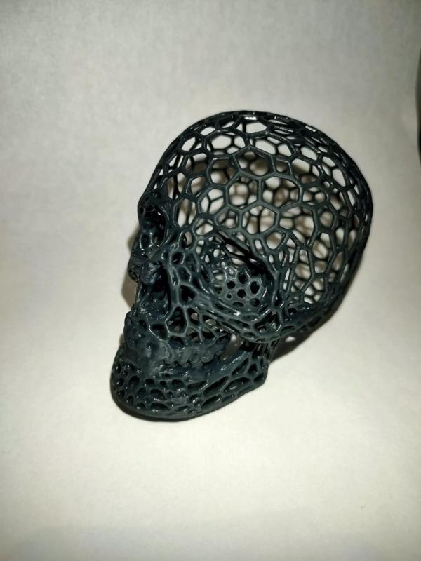 Voronoi Skull