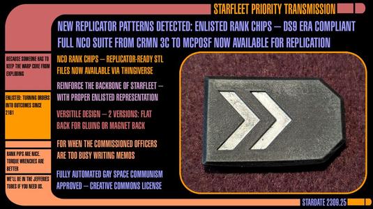 Starfleet NCO Rank chips. (DS9 era)